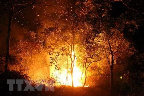 Cháy rừng trong đêm ở Điện Biên, hàng trăm người dập lửa