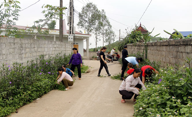Xây dựng nông thôn mới - Nam Hòa về đích sớm 