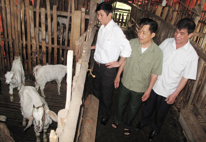 Phát huy phẩm chất “Bộ đội Cụ Hồ” trên mặt trận mới 