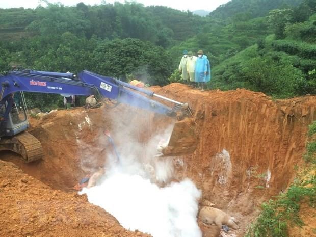 Ban Bí thư ban hành Chỉ thị về phòng, chống dịch tả lợn châu Phi