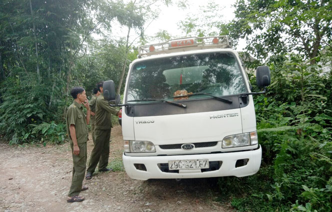 Đại Từ: Thu giữ, tiêu hủy lợn không rõ nguồn gốc 