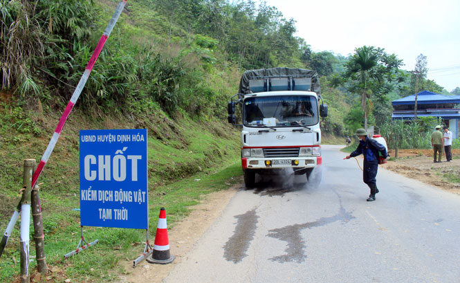 Hỗ trợ người chăn nuôi lợn vơi bớt khó khăn 
