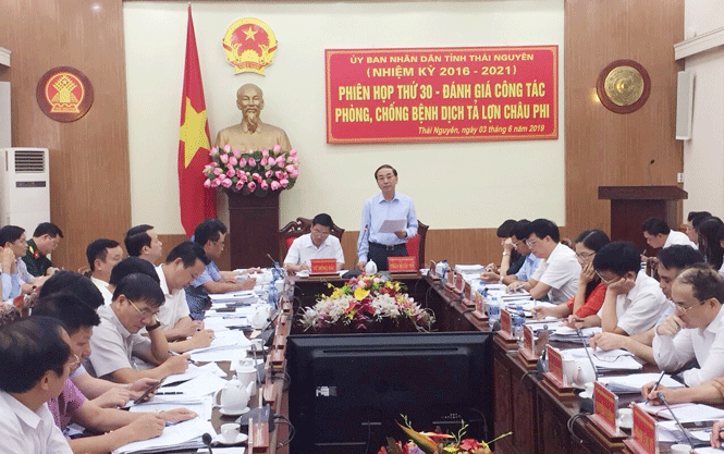 Coi phòng, phống dịch bệnh tả lợn châu Phi là nhiệm vụ trọng tâm đặc biệt 