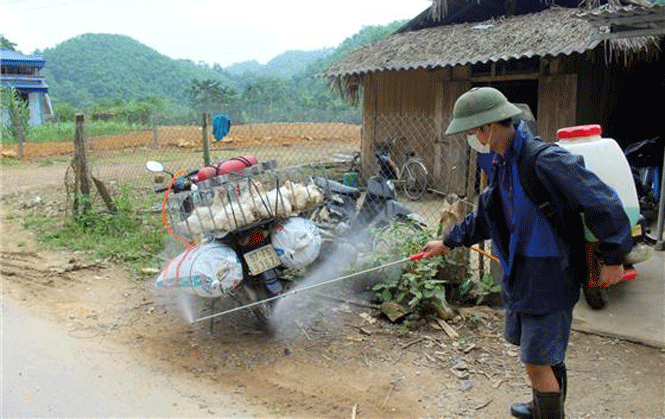 Định Hóa: Tình hình dịch tả lợn châu Phi tiếp tục diễn biến phức tạp 