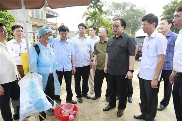 Dập dịch tả lợn châu Phi: Nước xa có cứu được lửa gần?