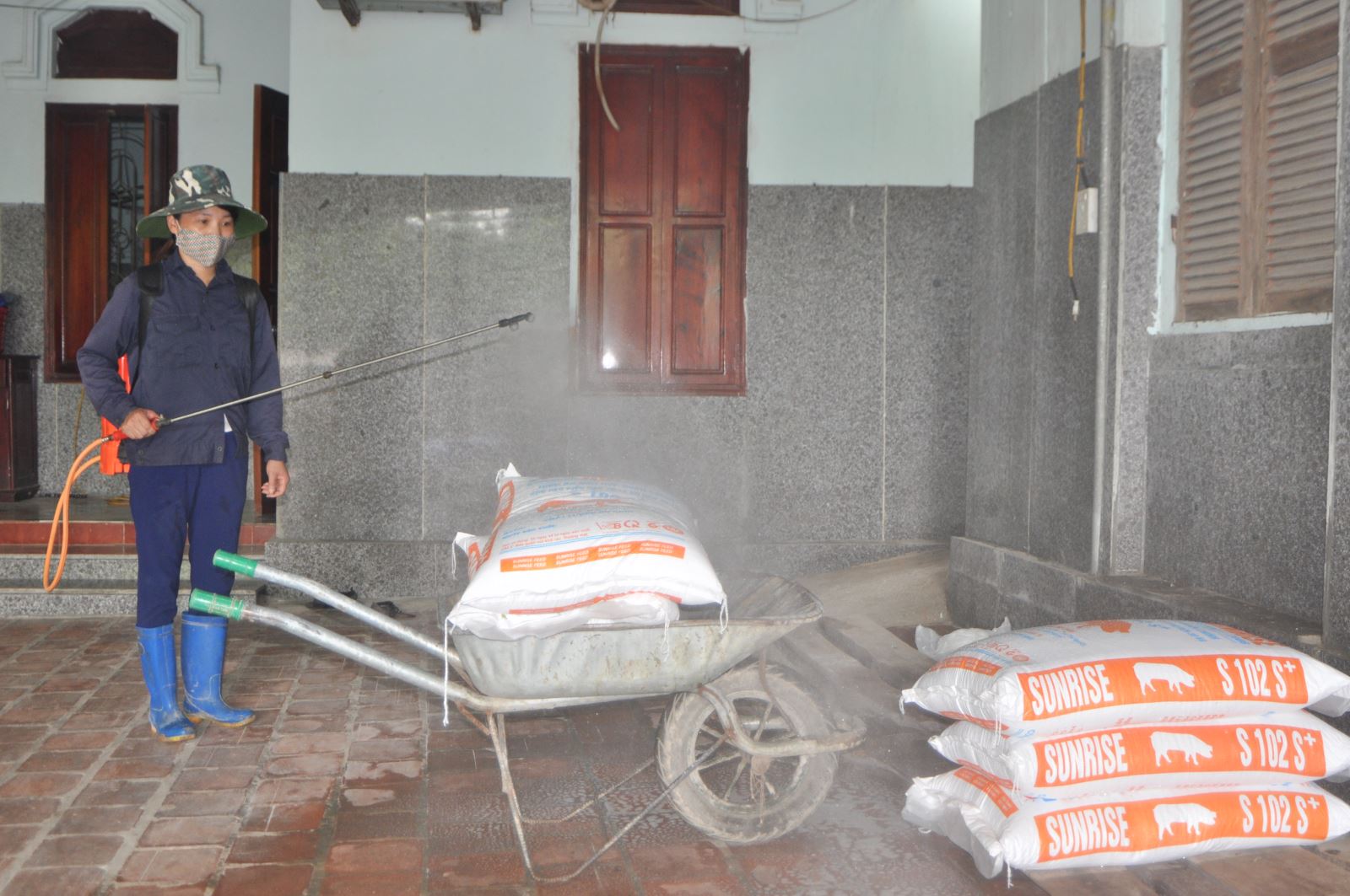 Ngăn dịch tả lợn châu Phi lây lan: Cách làm của một gia trại 