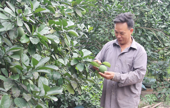 Người thương binh giàu nghị lực 