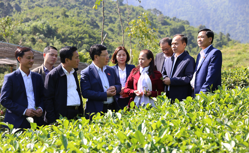 Đại biểu Quốc hội tỉnh tiếp xúc cử tri tại các địa phương