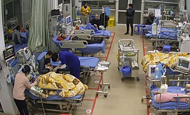 4 bệnh nhân bị chó cắn, cháu bé 4 tuổi nguy kịch