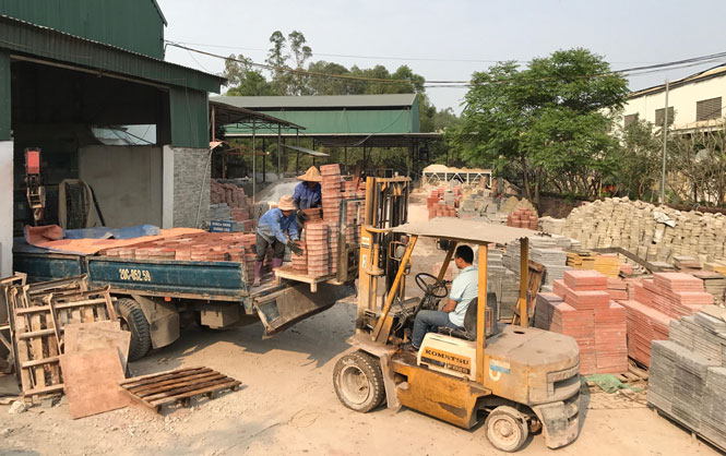 Tập trung sản xuất, đáp ứng nguồn cung sản phẩm 