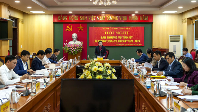 Hội nghị Ban Thường vụ Tỉnh ủy khóa XX lần thứ nhất: Nhanh chóng đưa nghị quyết vào cuộc sống