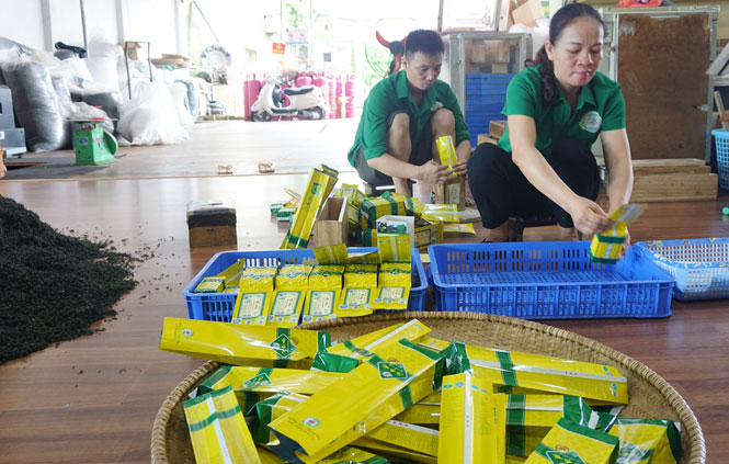 Gần 500 sản phẩm OCOP được đánh giá, xếp hạng