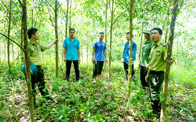 Ngành nông nghiệp- phát triển nông thôn: Tinh gọn bộ máy, nâng cao hiệu quả hoạt động