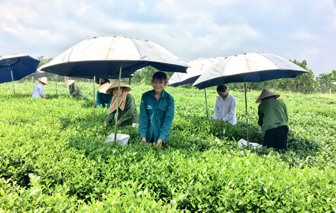 “Bí quyết” tạo sự đồng thuận