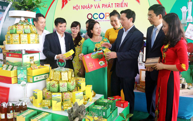 Tỏa sáng những “ánh sao