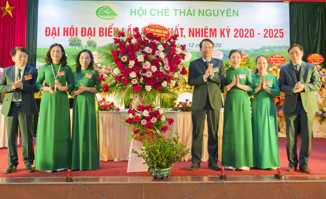 Đẩy mạnh phát triển sản xuất, chế biến chè theo hướng an toàn, hữu cơ