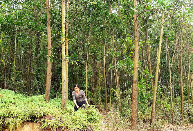 Không để ai bị bỏ lại phía sau