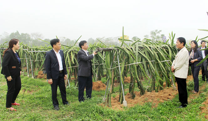 Thẩm định nông thôn mới kiểu mẫu tại xã Minh Lập