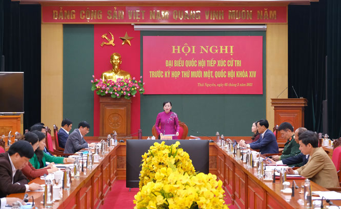 Đoàn Đại biểu Quốc hội tỉnh tiếp xúc cử tri