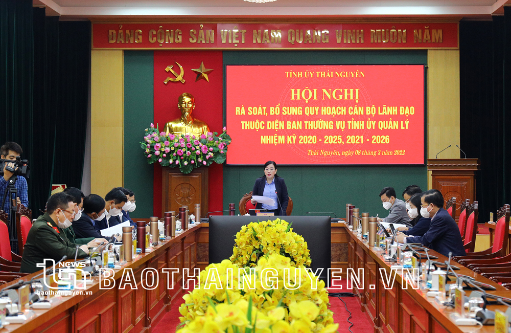 Rà soát, bổ sung quy hoạch cán bộ lãnh đạo thuộc diện Ban Thường vụ Tỉnh ủy quản lý