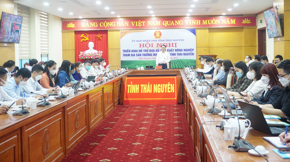 Hỗ trợ đưa hộ sản xuất nông nghiệp lên sàn thương mại điện tử