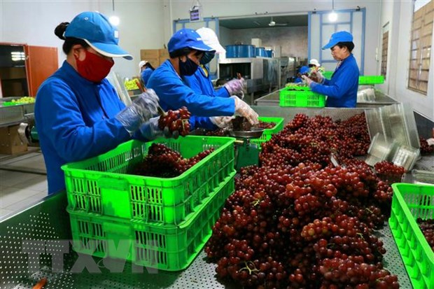 Ngành nông nghiệp đẩy mạnh chuyển đổi số thực chất, hiệu quả