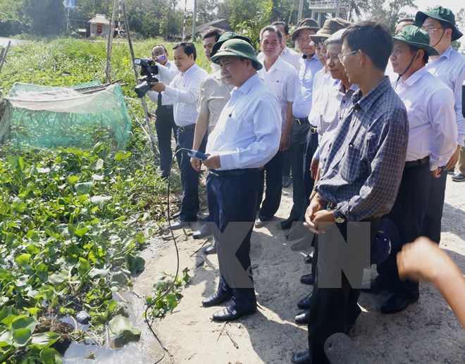 Phó Thủ tướng kiểm tra tình hình xâm nhập mặn tại Hậu Giang