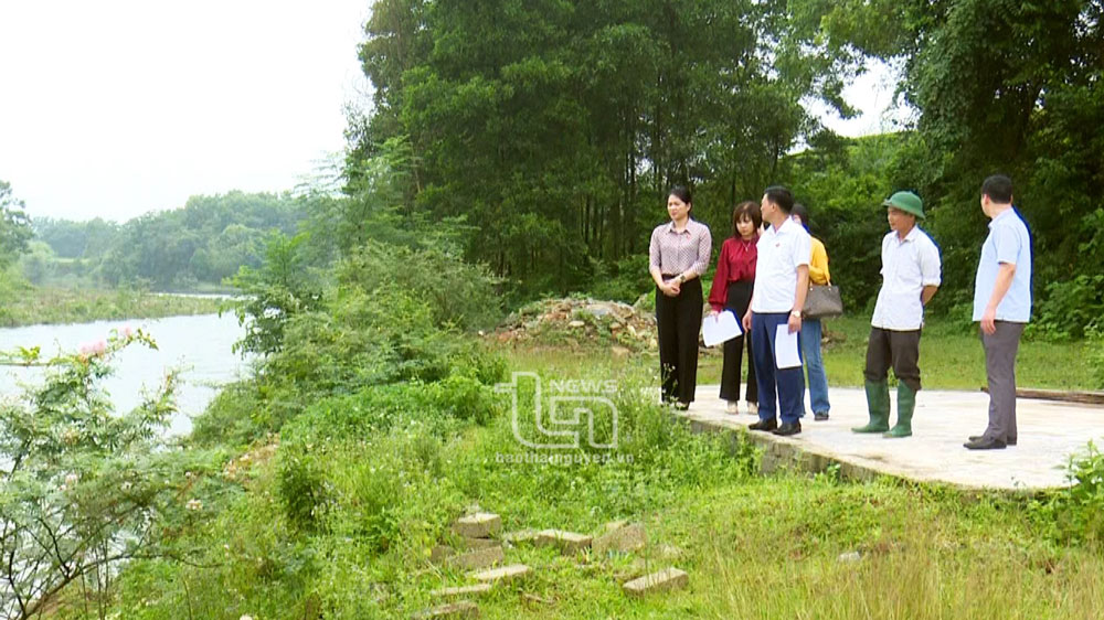 Tập trung các giải pháp để tăng trưởng nhanh và bền vững