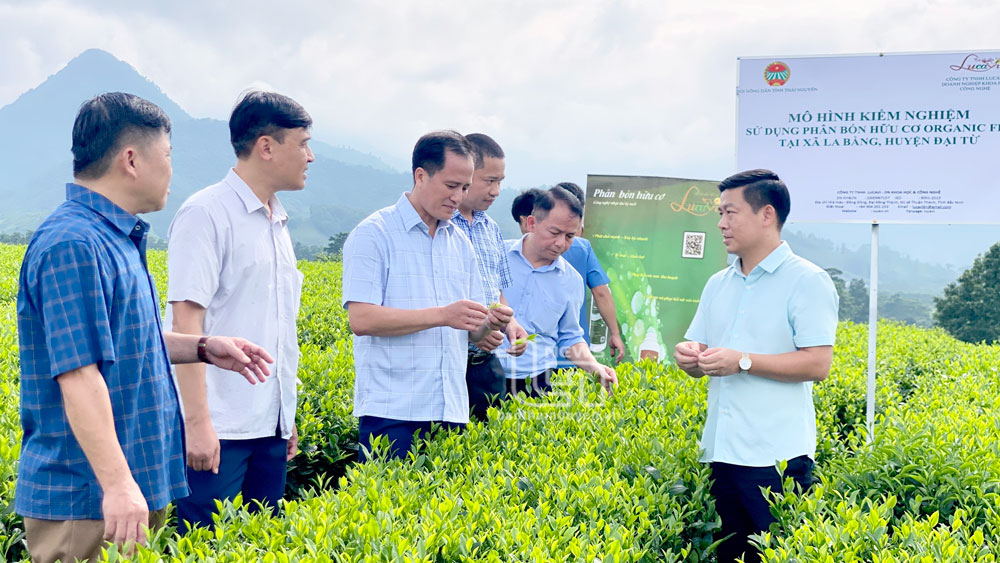 Phát huy vai trò chủ thể của nông dân trong phát triển kinh tế, xây dựng nông thôn mới