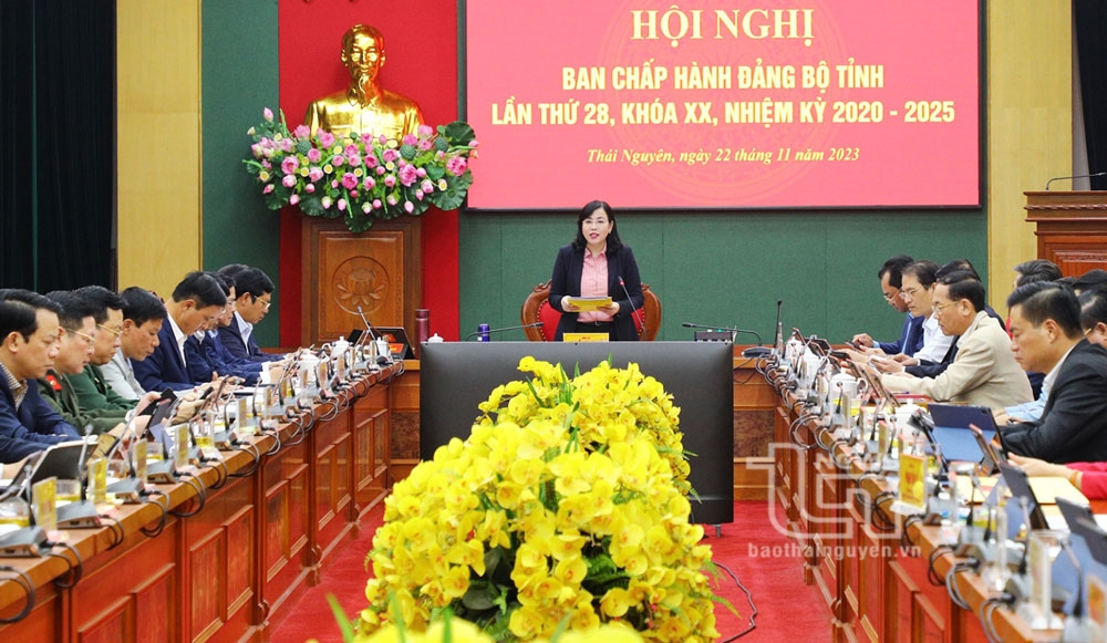 Trao quyết định chỉ định 3 đồng chí tham gia Ban Chấp hành Đảng bộ tỉnh