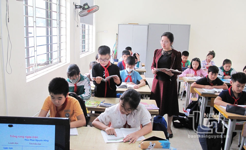 Thu dịch vụ ngoài học phí: Cần những quy định phù hợp thực tiễn