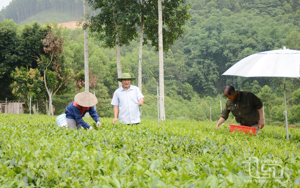 Kỳ họp thứ 16, HĐND tỉnh Thái Nguyên khóa XIV: Xem xét, quyết định nhiều vấn đề cử tri quan tâm