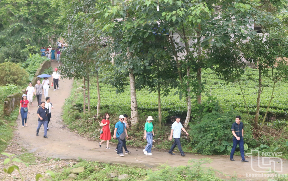 Doanh thu từ du lịch tăng gần 18,8%