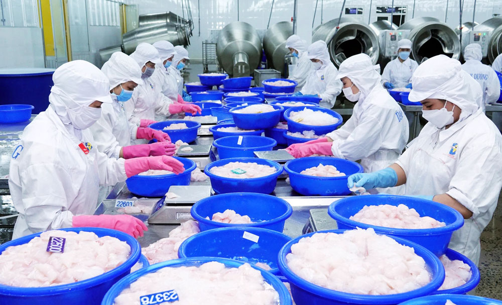 Cú lội ngược dòng ngoạn mục của xuất khẩu