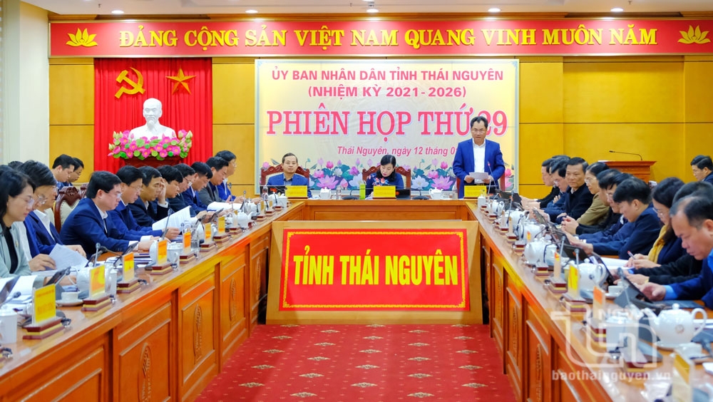 Phiên họp thứ 29 UBND tỉnh: Tập trung các giải pháp thực hiện nhiệm vụ ngay từ đầu năm