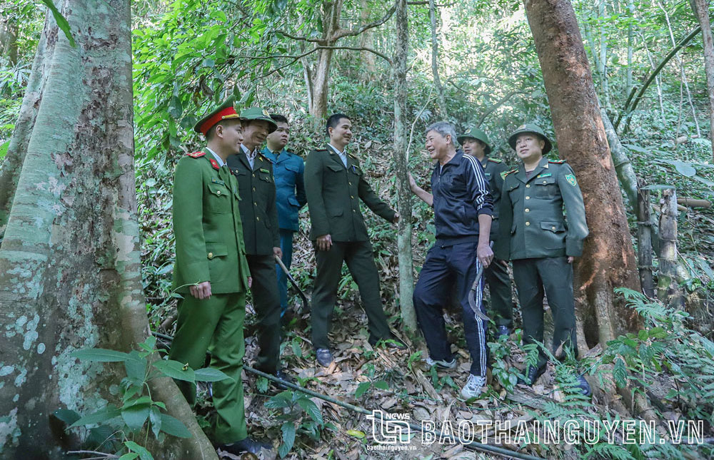 Võ Nhai tăng cường quản lý, bảo vệ rừng