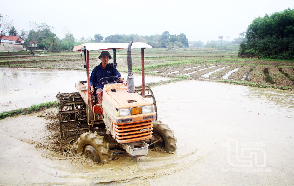 Đồng ruộng hối hả vào vụ mới