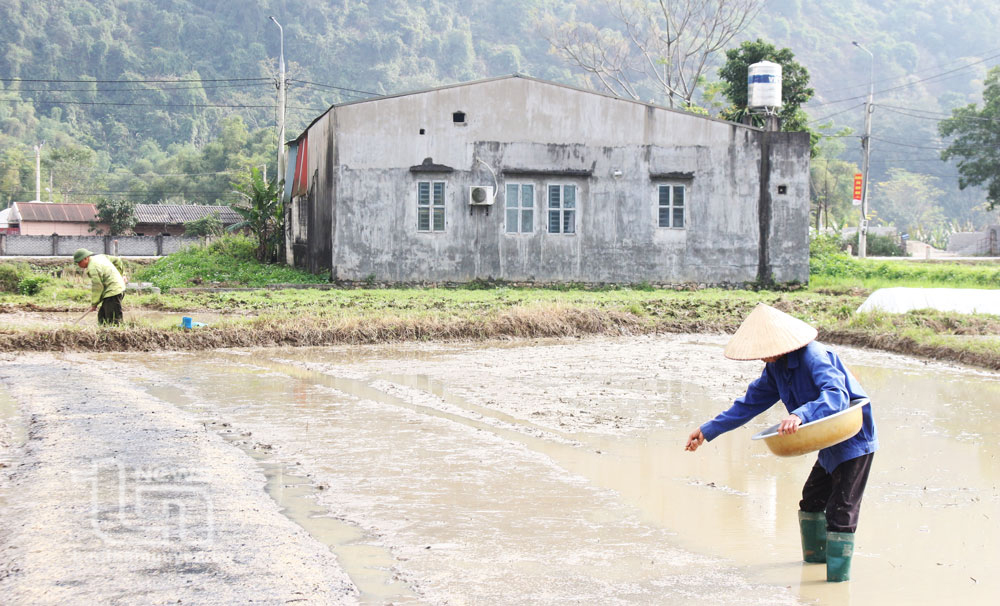 Định Hóa: Đảm bảo nước tưới cho vụ xuân