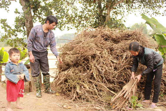 Hướng tới giảm nghèo bền vững