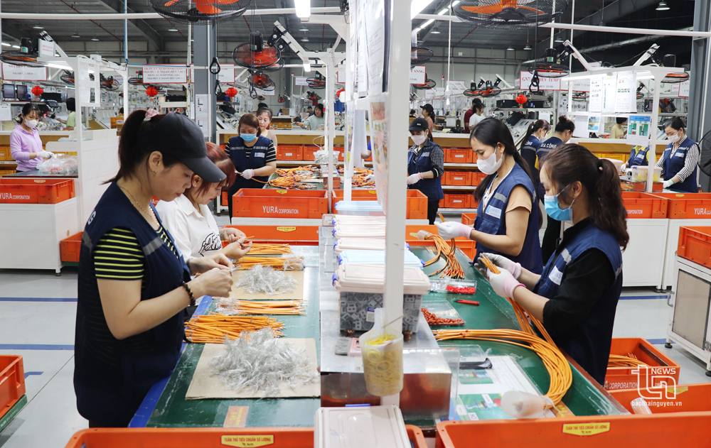 Xuất nhập khẩu nhộn nhịp những ngày đầu Xuân