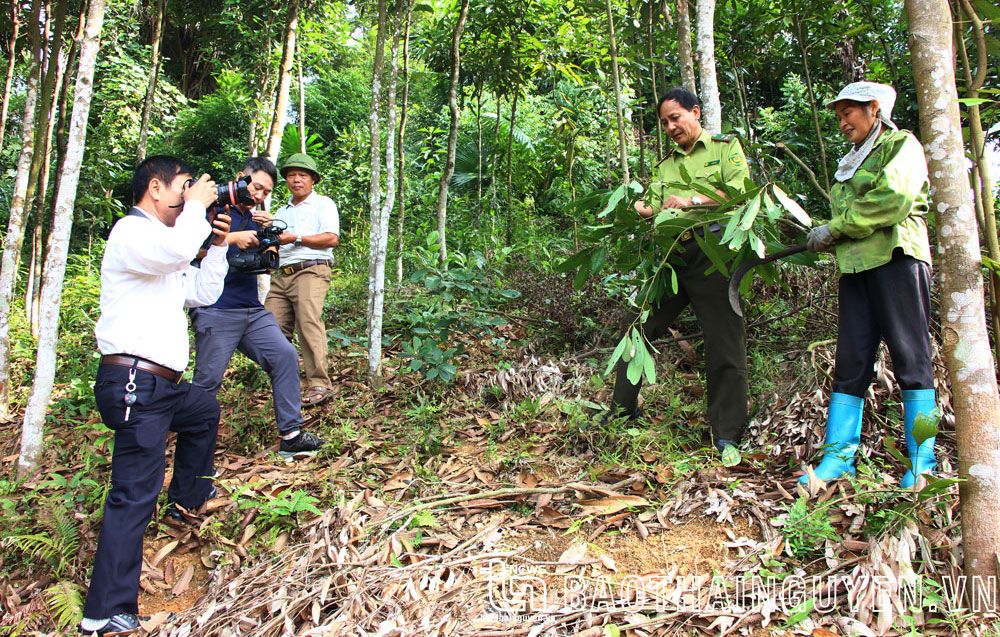 Sức sống vĩnh hằng tư tưởng Bác Hồ về báo chí cách mạng, kỳ III: Tính chiến đấu, cổ vũ nhân tố mới là nhiệm vụ cao cả của báo chí