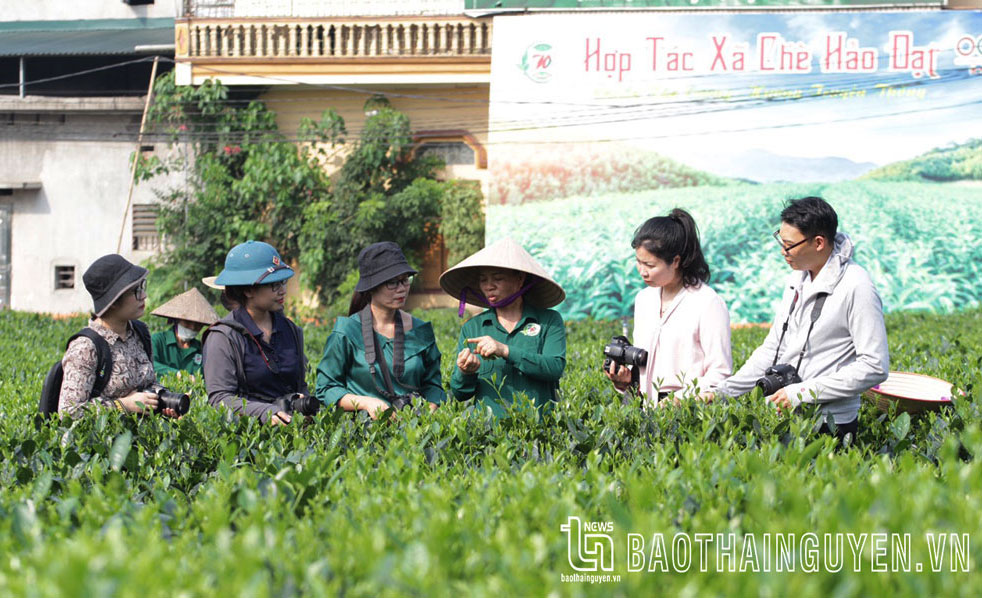 Sức sống vĩnh hằng tư tưởng Bác Hồ về báo chí cách mạng, kỳ II: Chủ tịch Hồ Chí Minh - Người sáng lập những tờ báo cách mạng đầu tiên