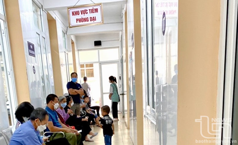 Thái Nguyên: 667 bệnh nhân bị vết chó cắn nặng, nguy hiểm