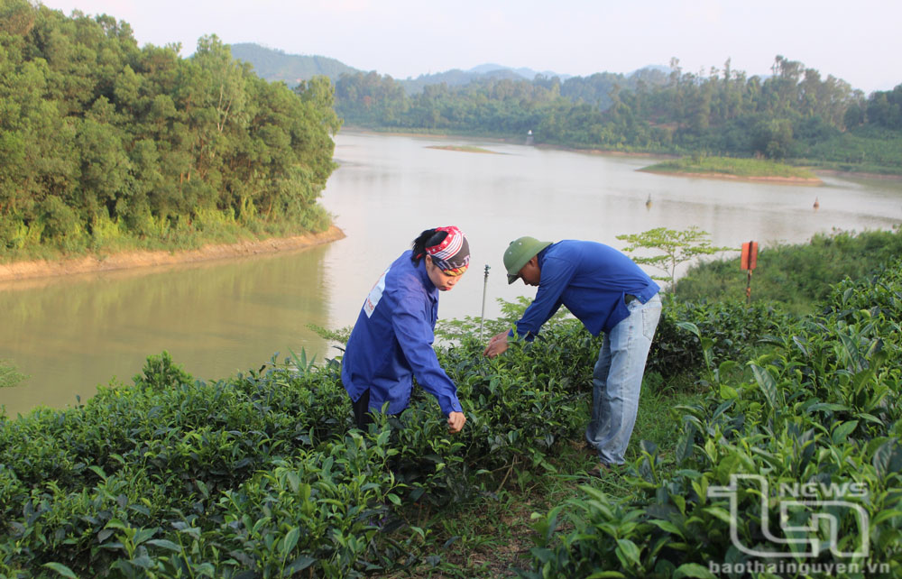 Đồng hành với hội viên phát triển kinh tế