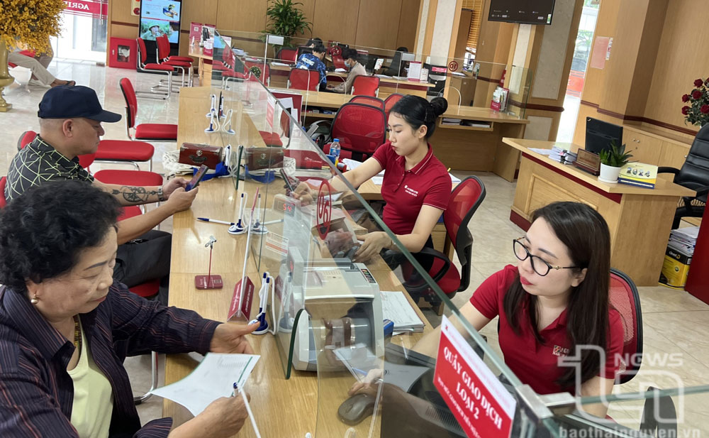 Chính sách tín dụng góp phần nâng cao Bộ chỉ số PII