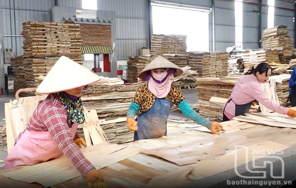 Nâng cao trách nhiệm bảo vệ môi trường