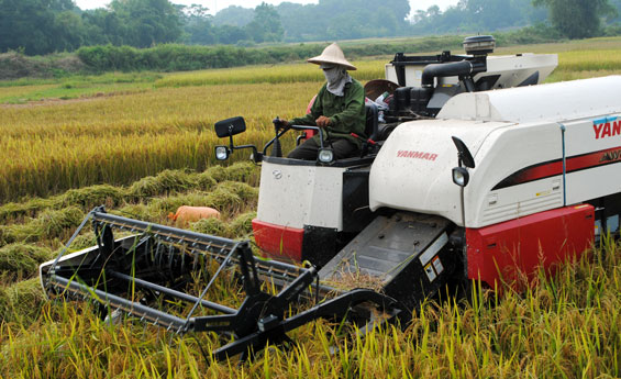 Nông nghiệp một năm vượt khó
