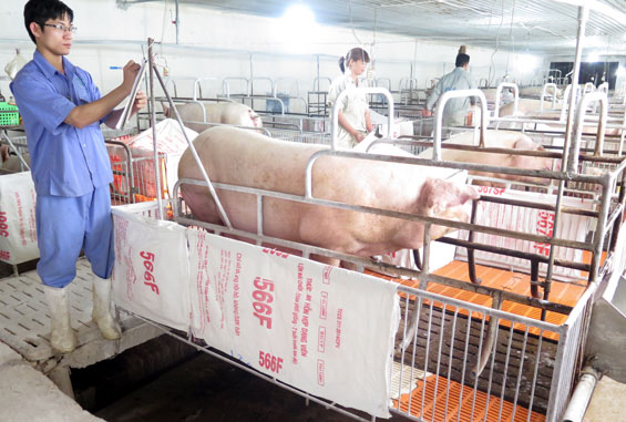 Hỗ trợ doanh nghiệp xử lý ô nhiễm môi trường