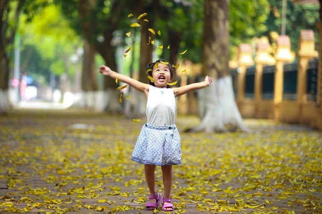 Khu vực Hà Nội mưa về sáng và đêm, trưa chiều hửng nắng