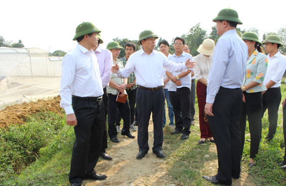 Sớm khắc phục hậu quả mưa lớn và giông lốc